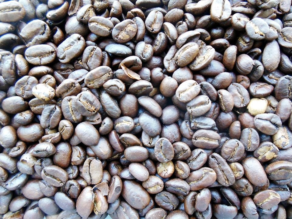 This image has an empty alt attribute; its file name is kopi-luwak-960x720.jpg